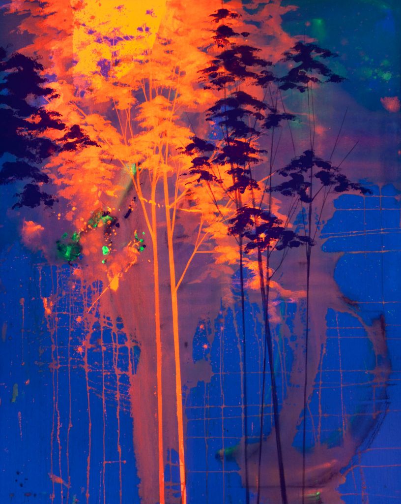parallelworlds small 11 under uv light